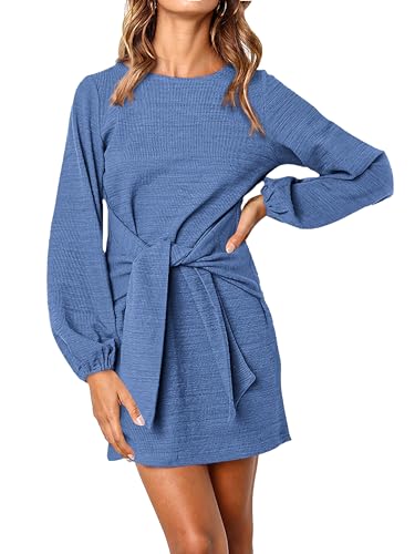 Short Lantern Sleeve Dress