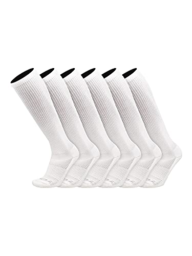 TCK Over the Calf 6-pack (Budget Pick)