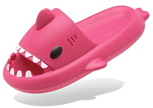 INMINPIN Shark Slides