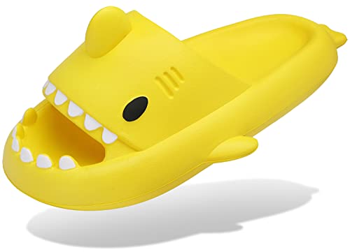 INMINPIN Shark Slides (Value)