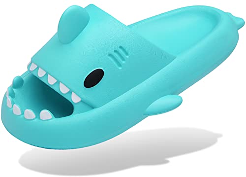 INMINPIN Shark Slides (Top pick)