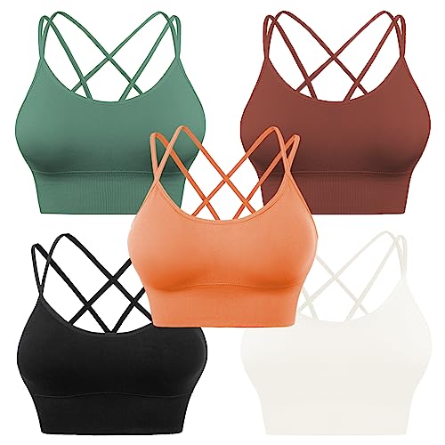 Evercute Cross Back Sport Bra (Value Pack)